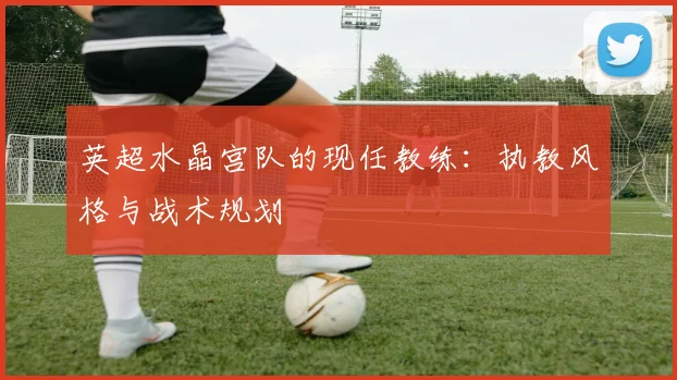 英超水晶宫队的现任教练：执教风格与战术规划