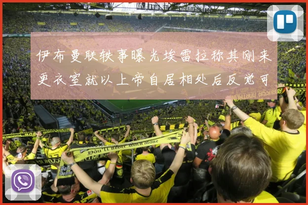 伊布曼联轶事曝光埃雷拉称其刚来更衣室就以上帝自居相处后反觉可爱